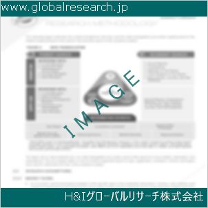 グローバルリサーチ調査資料のイメージ